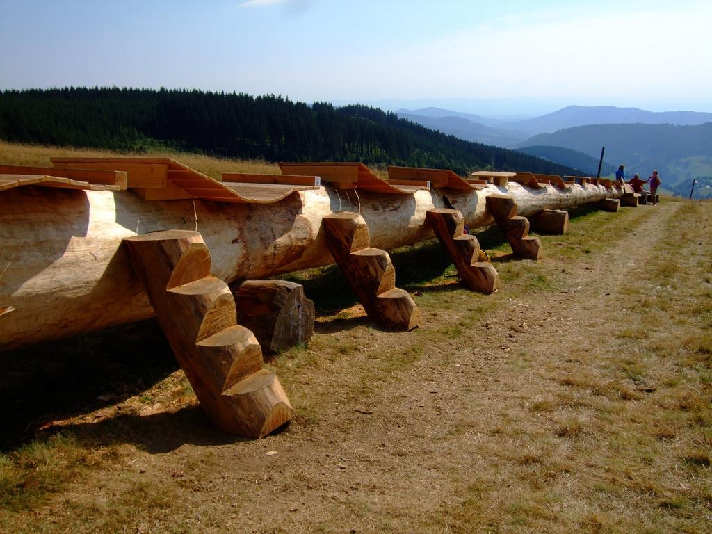 Bergseele Privat- & Retreathotel Schwarzwald Todtnauberg Luaran gambar