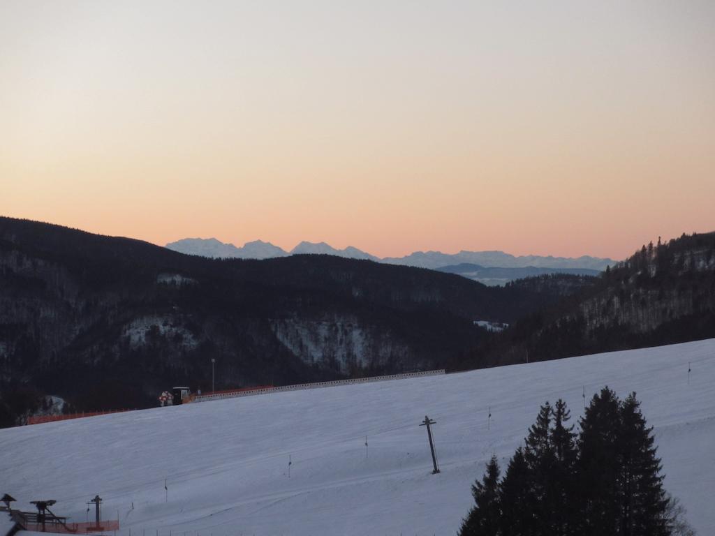 Bergseele Privat- & Retreathotel Schwarzwald Todtnauberg Luaran gambar