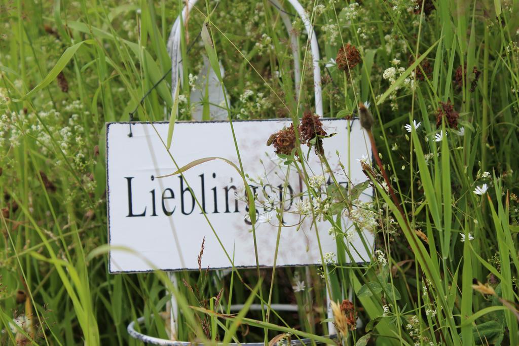 Bergseele Privat- & Retreathotel Schwarzwald Todtnauberg Luaran gambar